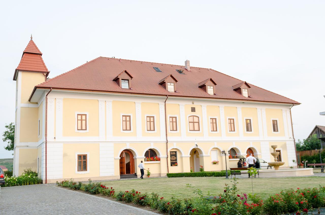 Castel Haller Ogra Exterior photo